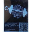 6 Mukhi Rudraksha - 5.085 g.