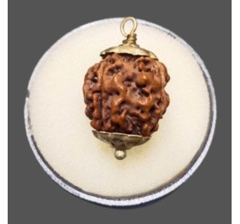 4 Mukhi Rudraksha