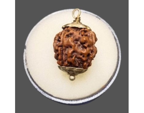 4 Mukhi Rudraksha