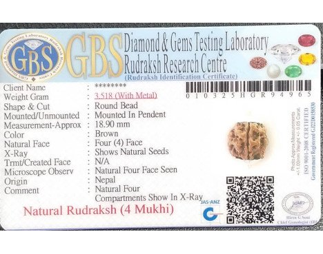 4 Mukhi Rudraksha - 3.518 g.
