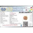 4 Mukhi Rudraksha - 3.518 g.