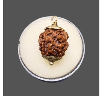 4 Mukhi Rudraksha