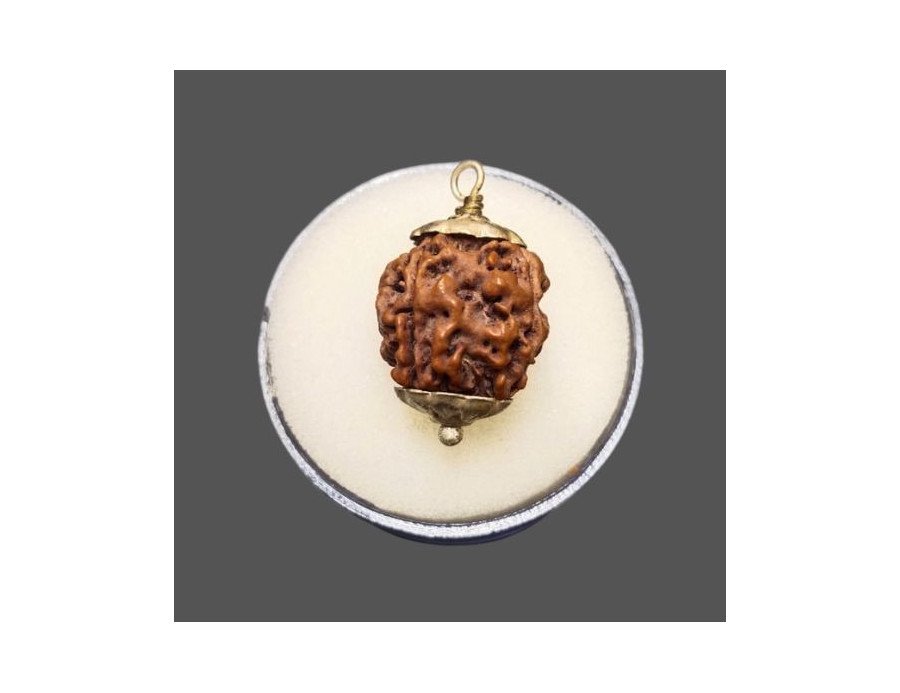 4 Mukhi Rudraksha - 4.066 g. 4 Mukhi Rudraksha - 4.066 g.