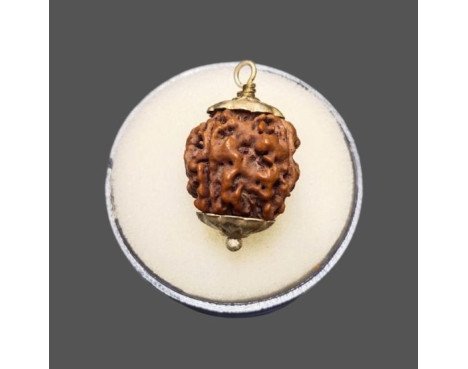 4 Mukhi Rudraksha