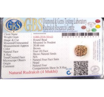 4 Mukhi Rudraksha - 4.066 g.
