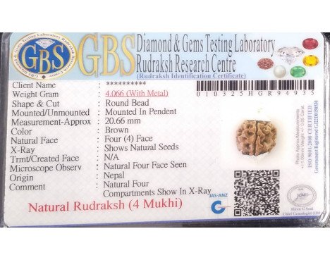 4 Mukhi Rudraksha - 4.066 g.