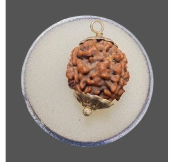 4 Mukhi Rudraksha