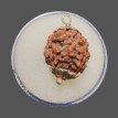 4 Mukhi Rudraksha - 4.127 g.