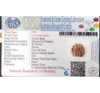 4 Mukhi Rudraksha - 4.127 g.