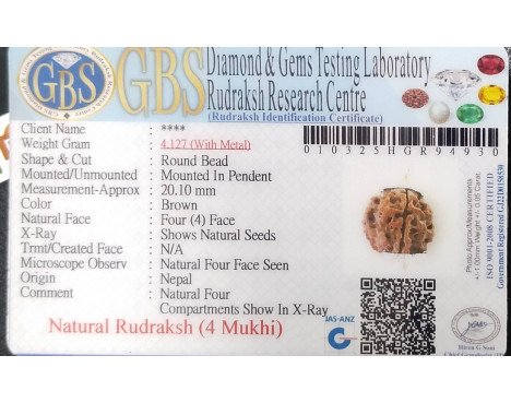 4 Mukhi Rudraksha - 4.127 g.