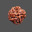 4 Mukhi Rudraksha - 3.223 g.