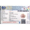 3 Mukhi Rudraksha- 1.211 g.