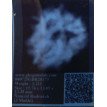 3 Mukhi Rudraksha- 1.211 g.