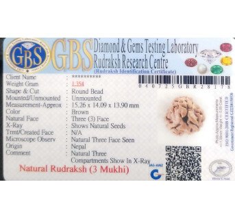 3 Mukhi Rudraksha