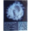 3 Mukhi Rudraksha- 1.354 g. 3 Mukhi Rudraksha- 1.354 g.