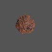 3 Mukhi Rudraksha- 1.524 g.