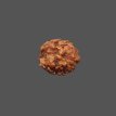 2 Mukhi Rudraksha- 1.305 g. 2 Mukhi Rudraksha- 1.305 g.