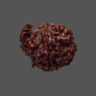 Ganesh Rudraksha - 3.690 g.