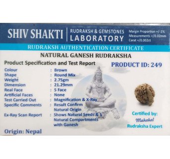 Ganesh Rudraksha