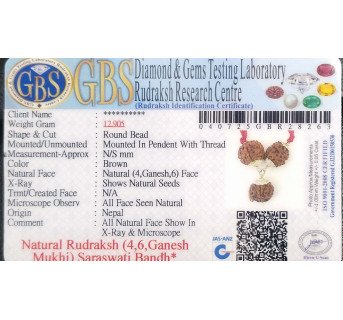 Saraswati Bandh -12.905 g.