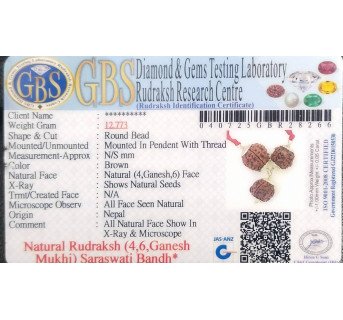 Saraswati Bandh -12.773 g.