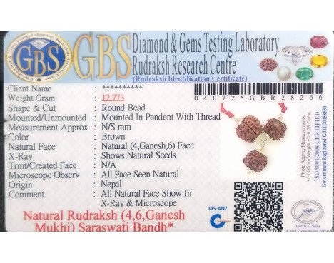 Saraswati Bandh -12.773 g.