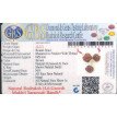 Saraswati Bandh -12.773 g.
