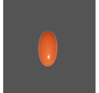Japanese Red Coral 10.20ct.@5000 per. ct.(Super Luxury)
