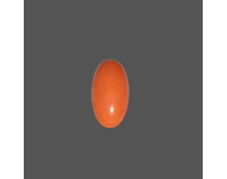 Japanese Red Coral 10.20ct.@5000 per. ct.(Super Luxury)