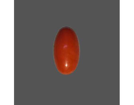 Japanese Red Coral 7.70ct.@5000 per. ct.(Super Luxury)