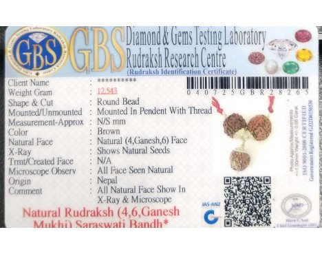 Saraswati Bandh -12.543 g.