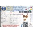 Saraswati Bandh -12.543 g.