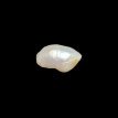 Keshi Pearl 7.15ct@700per. ct. (Luxury)