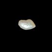 Keshi Pearl 7.15ct@700per. ct. (Luxury)