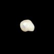 Keshi Pearl 8.04ct.@700per. ct. (Luxury)