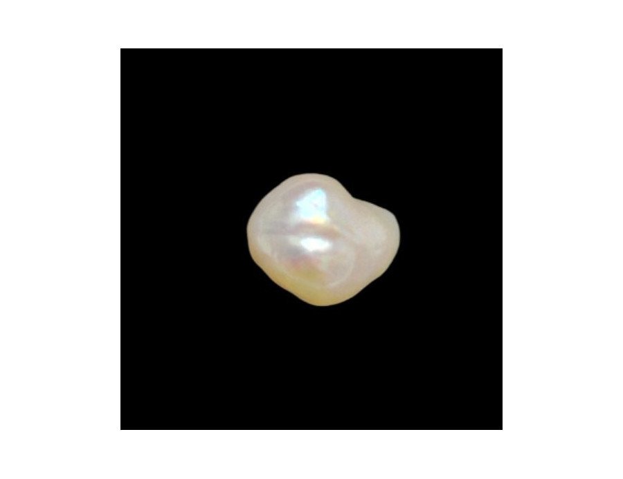 Keshi Pearl 8.04ct.@700per. ct. (Luxury)
