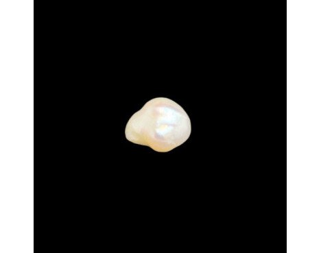 Keshi Pearl 8.04ct.@700per. ct. (Luxury)