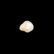 Keshi Pearl 8.04ct.@700per. ct. (Luxury)