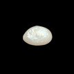 Keshi Pearl 5.35ct.@700 per. ct. (Luxury) Keshi Pearl 5.35ct.@700 per. ct. (Luxury)