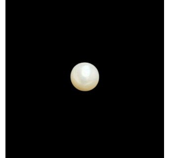 South-Sea Pearl 6.83ct.