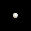 South-Sea Pearl 7.38ct.@400 per. ct. (Super Premium)