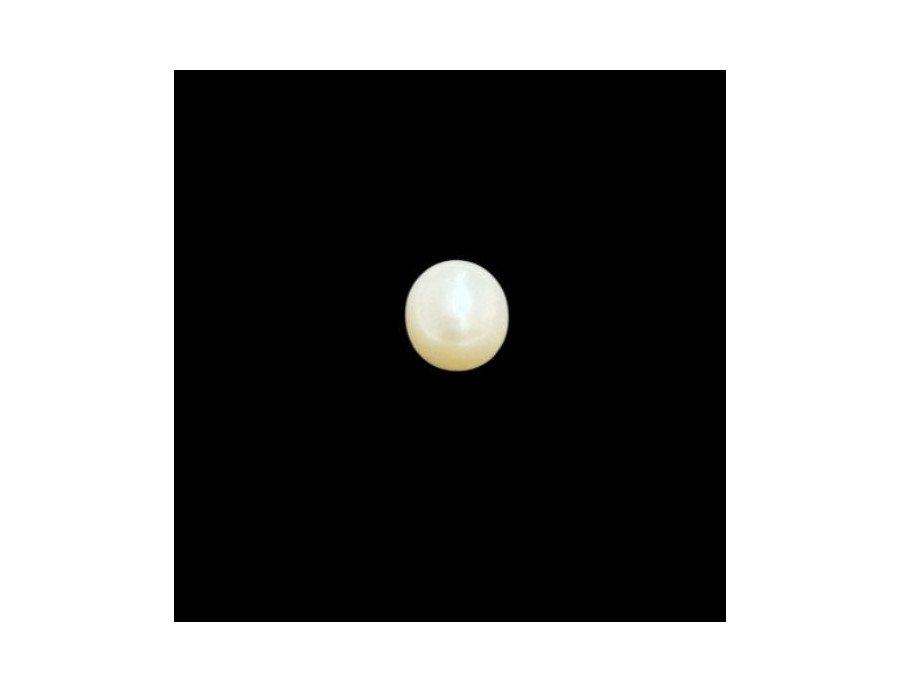 South-Sea Pearl 6.62ct.@100 per. ct.(Economy) South-Sea Pearl 6.62ct.@100 per. ct.(Economy)
