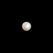 Fresh Water Pearl 6.34ct.@100 per. ct.(Economy)