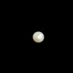 Fresh Water Pearl 5.53ct.@100 per. ct.(Economy) Fresh Water Pearl 5.53ct.@100 per. ct.(Economy)