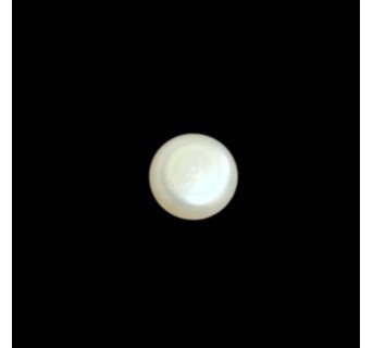 Fresh Water Pearl 5.53ct.@100 per. ct.(Economy)
