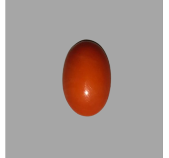 Japanese Red Coral 12.50ct.@5000 per. ct.(Super Luxury)