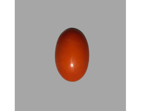 Japanese Red Coral 12.50ct.@5000 per. ct.(Super Luxury)
