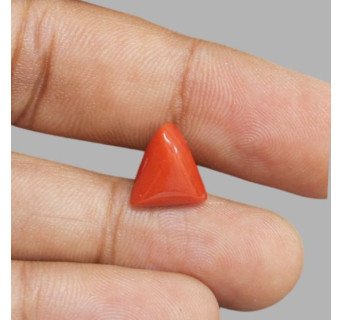Italian Red Coral 5.22 ct.@1300 per. ct.(Luxury)