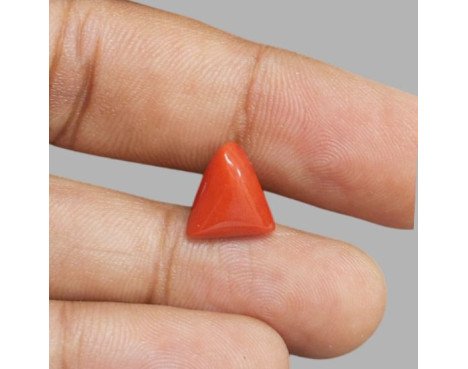 Italian Red Coral 5.22 ct.@1300 per. ct.(Luxury)