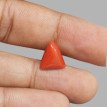 Italian Red Coral 5.22 ct.@1300 per. ct.(Luxury)
